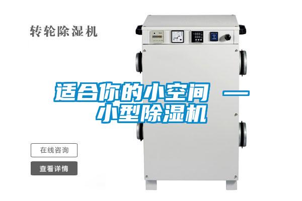 適合你的小空間 —小型除濕機