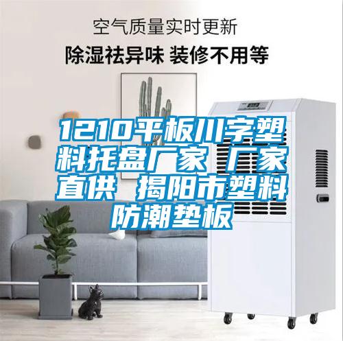 1210平板川字塑料托盤廠家 廠家直供 揭陽市塑料防潮墊板