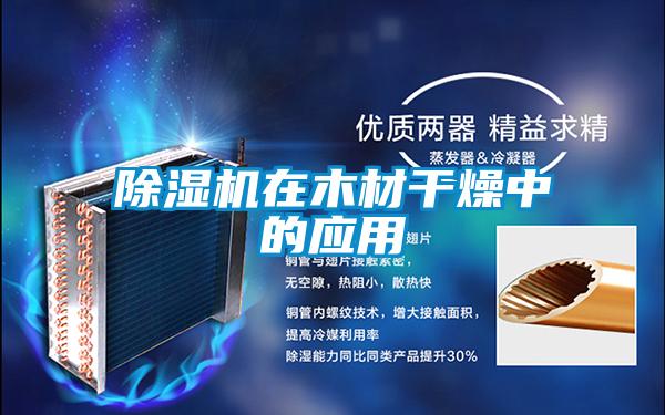 除濕機(jī)在木材干燥中的應(yīng)用
