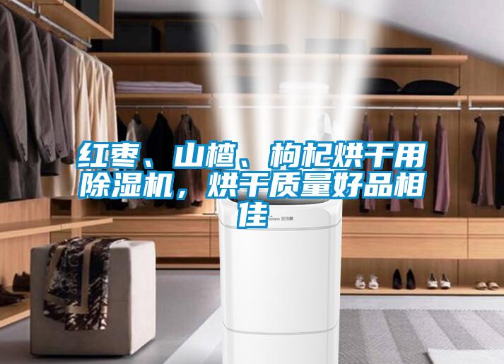 紅棗、山楂、枸杞烘干用除濕機，烘干質量好品相佳