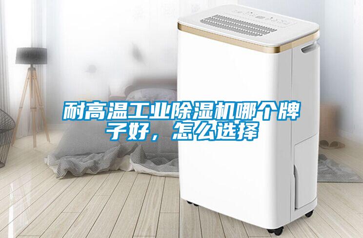 耐高溫工業除濕機哪個牌子好,怎么選擇