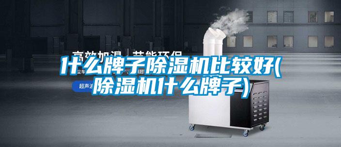什么牌子除濕機比較好(除濕機什么牌子)