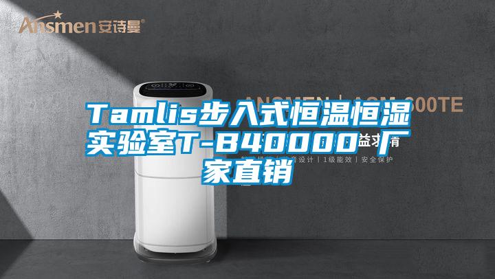 Tamlis步入式恒溫恒濕實驗室T-B40000 廠家直銷