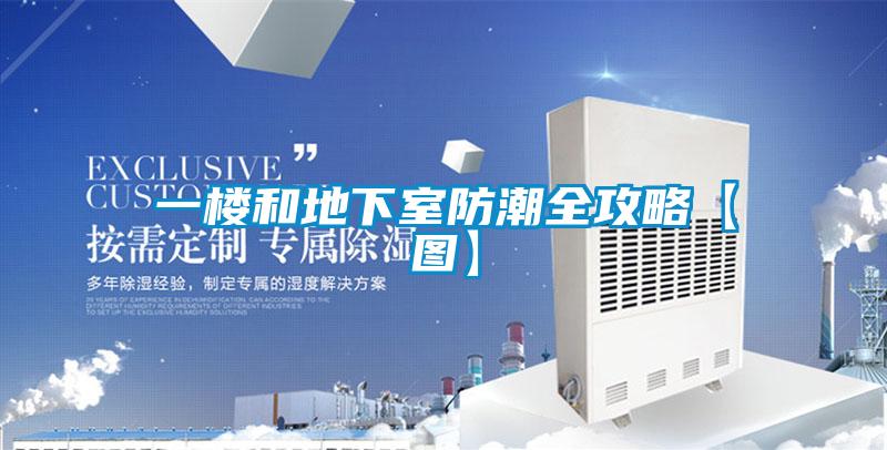 一樓和地下室防潮全攻略【圖】