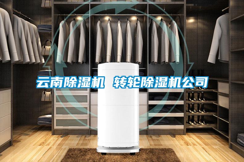 云南除濕機(jī) 轉(zhuǎn)輪除濕機(jī)公司