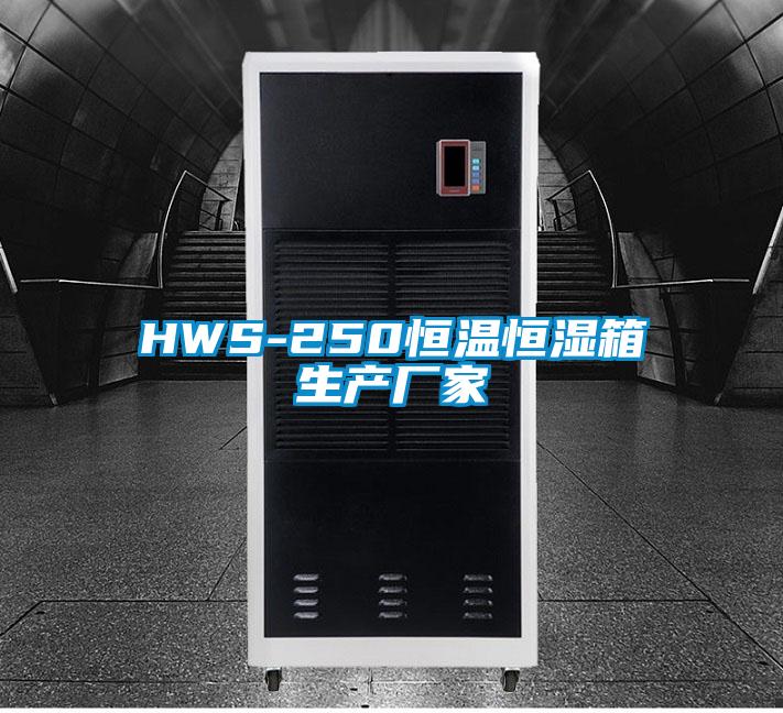 HWS-250恒溫恒濕箱生產廠家