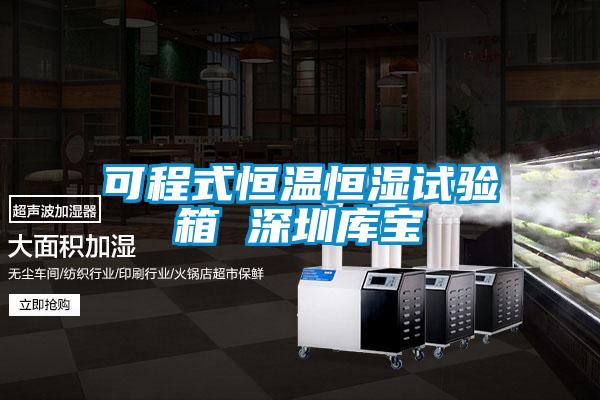 可程式恒溫恒濕試驗箱 深圳庫寶
