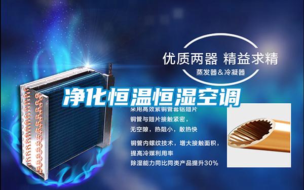 凈化恒溫恒濕空調