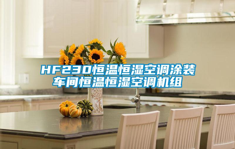 HF230恒溫恒濕空調涂裝車間恒溫恒濕空調機組