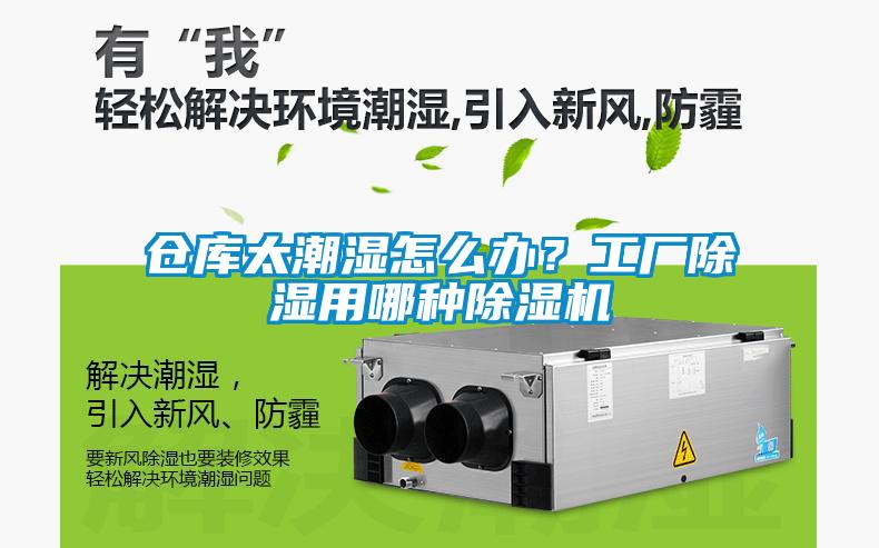 倉庫太潮濕怎么辦?工廠除濕用哪種除濕機