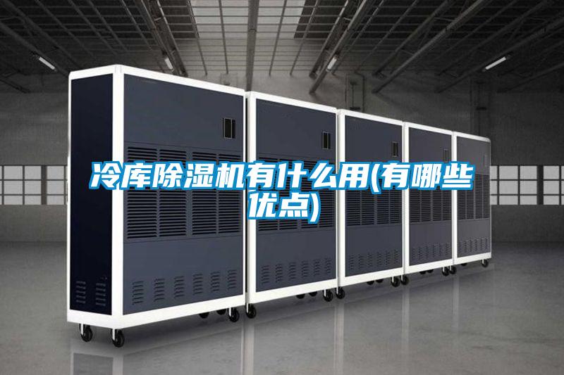 冷庫除濕機有什么用(有哪些優點)