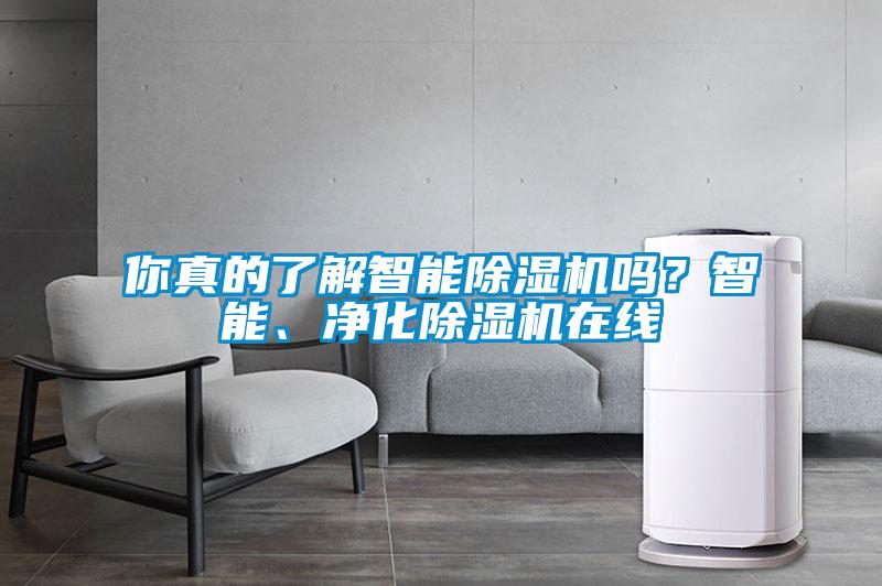 你真的了解智能除濕機嗎？智能、凈化除濕機在線