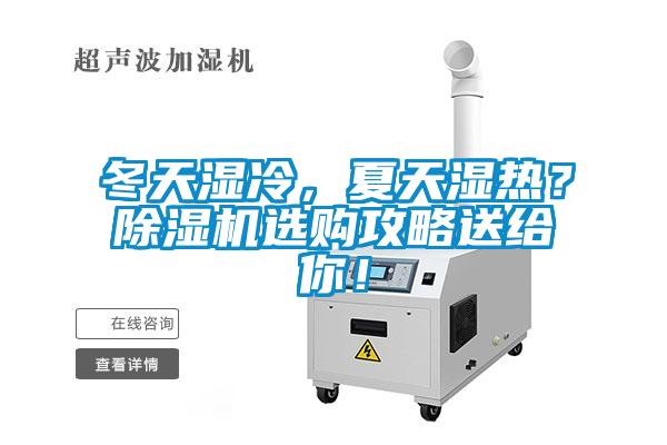 冬天濕冷,夏天濕熱?除濕機選購攻略送給你!