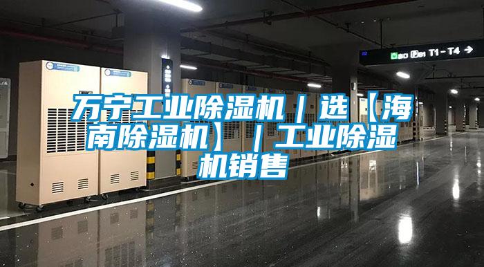 萬寧工業除濕機|選【海南除濕機】|工業除濕機銷售