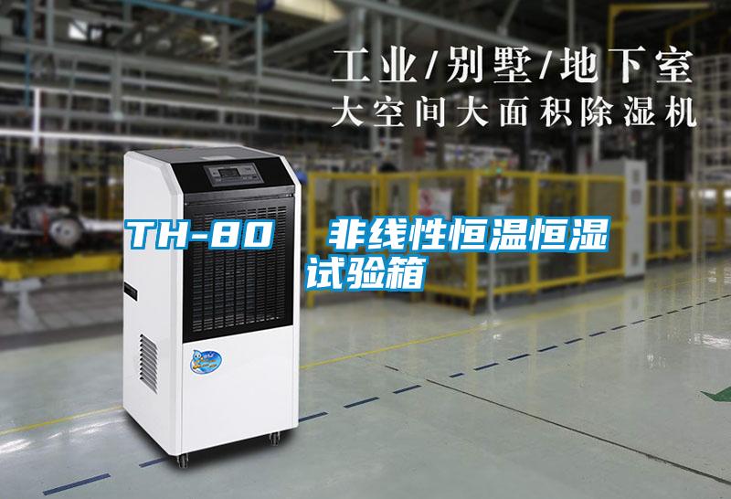 TH-80  非線性恒溫恒濕試驗(yàn)箱