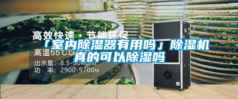 「室內(nèi)除濕器有用嗎」除濕機(jī)真的可以除濕嗎