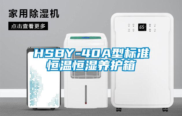 HSBY-40A型標準恒溫恒濕養護箱