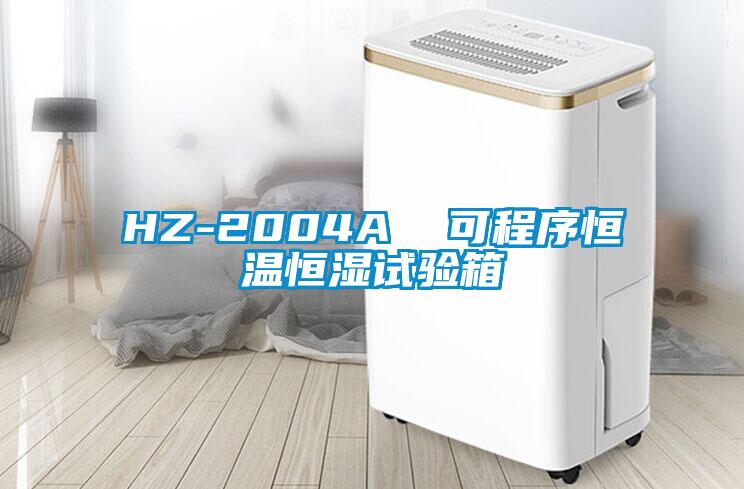 HZ-2004A  可程序恒溫恒濕試驗箱