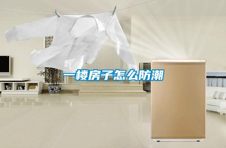 一樓房子怎么防潮