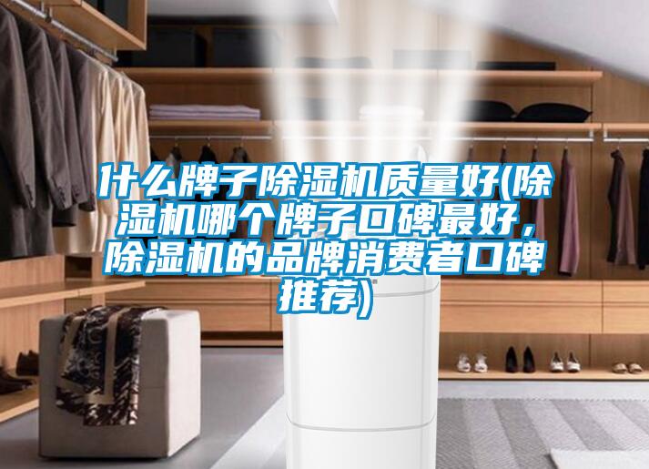 什么牌子除濕機質(zhì)量好(除濕機哪個牌子口碑最好，除濕機的品牌消費者口碑推薦)