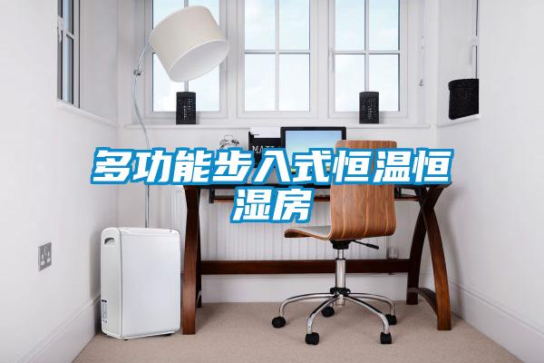 多功能步入式恒溫恒濕房