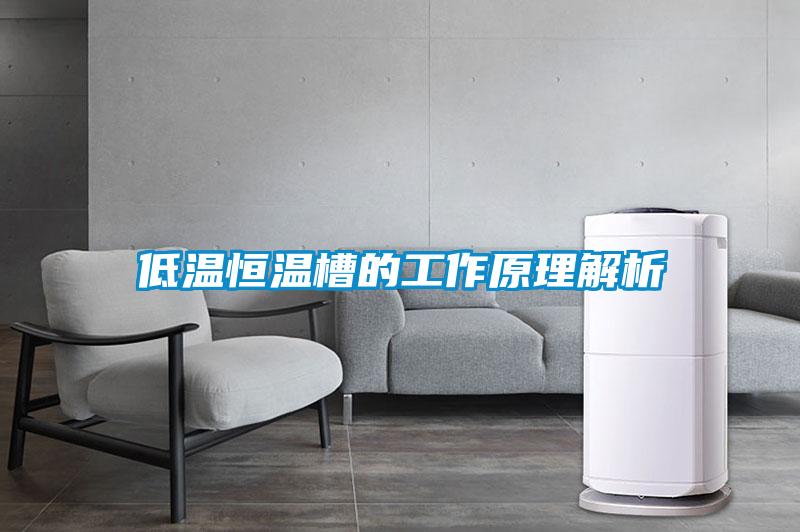 低溫恒溫槽的工作原理解析