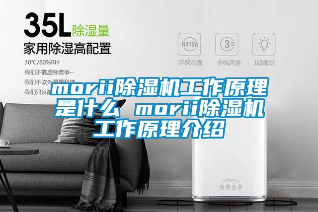 morii除濕機工作原理是什么 morii除濕機工作原理介紹