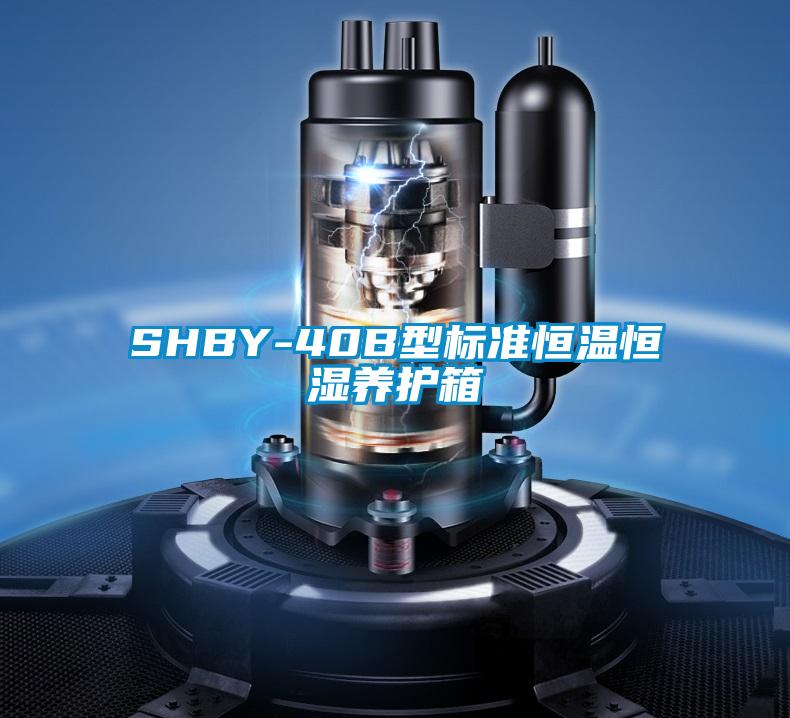 SHBY-40B型標準恒溫恒濕養(yǎng)護箱