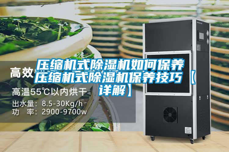 壓縮機式除濕機如何保養 壓縮機式除濕機保養技巧【詳解】