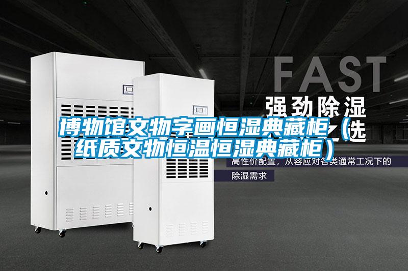 博物館文物字畫恒濕典藏柜(紙質(zhì)文物恒溫恒濕典藏柜)