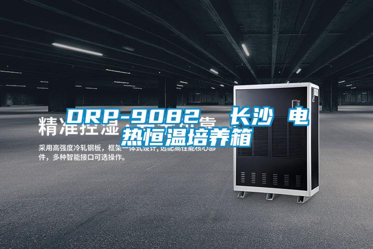 DRP-9082 長沙 電熱恒溫培養箱