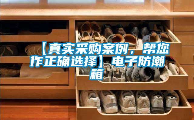 【真實采購案例,幫您作正確選擇】電子防潮箱