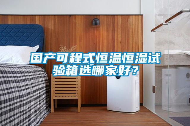 國(guó)產(chǎn)可程式恒溫恒濕試驗(yàn)箱選哪家好?