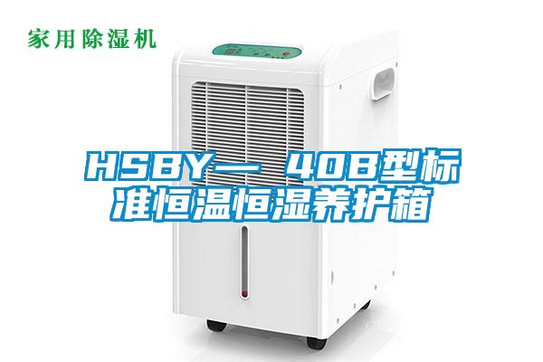 HSBY— 40B型標準恒溫恒濕養護箱