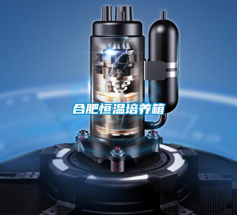 合肥恒溫培養箱