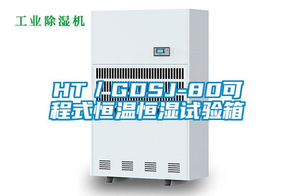 HT/GDSJ-80可程式恒溫恒濕試驗(yàn)箱