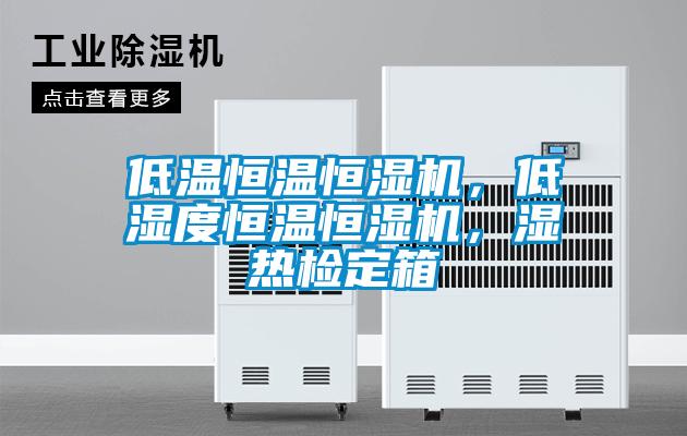 低溫恒溫恒濕機,低濕度恒溫恒濕機,濕熱檢定箱