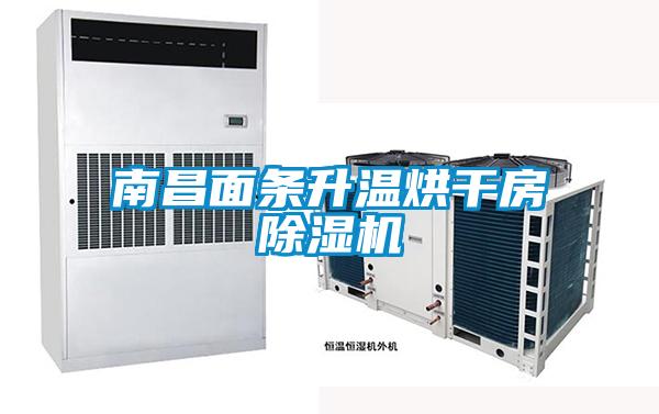 南昌面條升溫烘干房除濕機