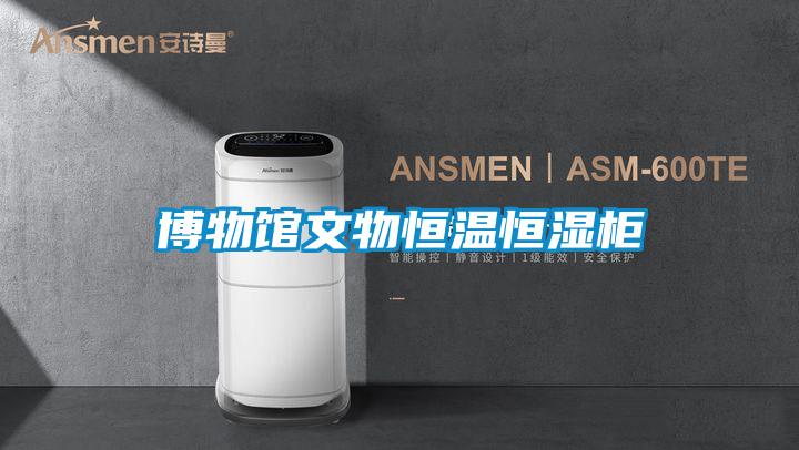 博物館文物恒溫恒濕柜