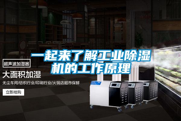 一起來了解工業(yè)除濕機(jī)的工作原理