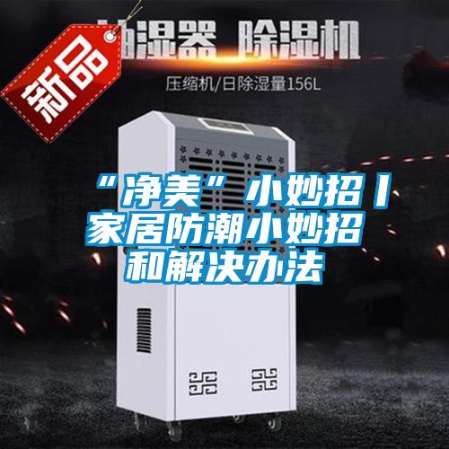 “凈美”小妙招丨家居防潮小妙招和解決辦法