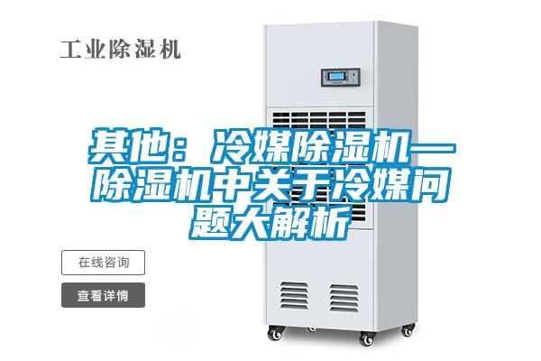 其他：冷媒除濕機—除濕機中關(guān)于冷媒問題大解析