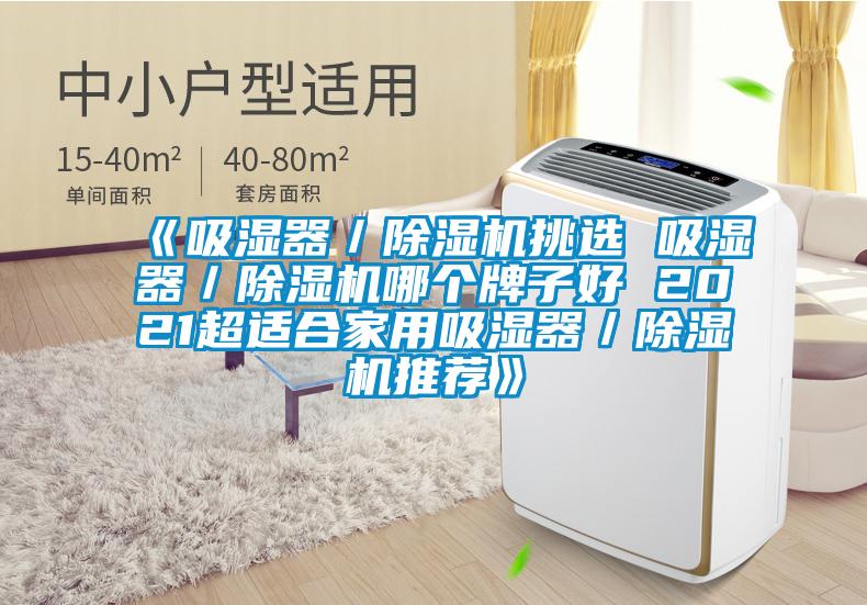 《吸濕器/除濕機(jī)挑選 吸濕器/除濕機(jī)哪個(gè)牌子好 2021超適合家用吸濕器/除濕機(jī)推薦》