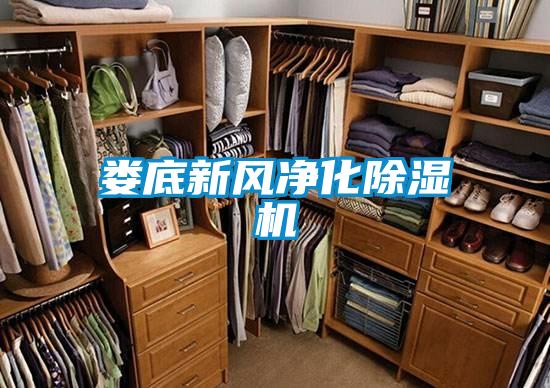 婁底新風凈化除濕機