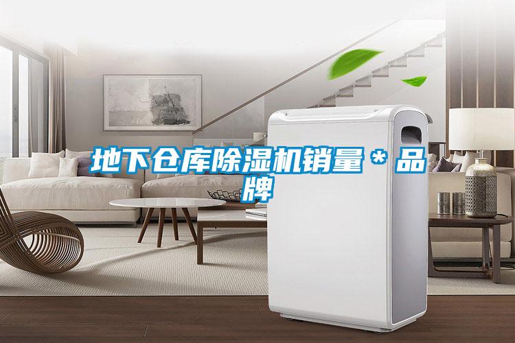 地下倉(cāng)庫(kù)除濕機(jī)銷量*品牌