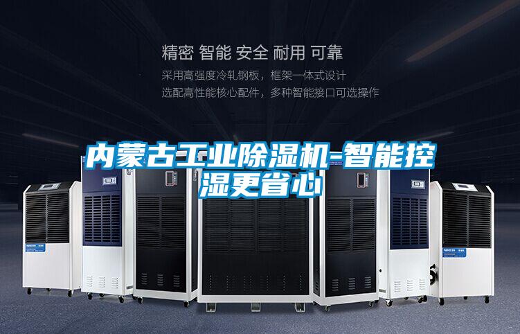 內蒙古工業除濕機-智能控濕更省心