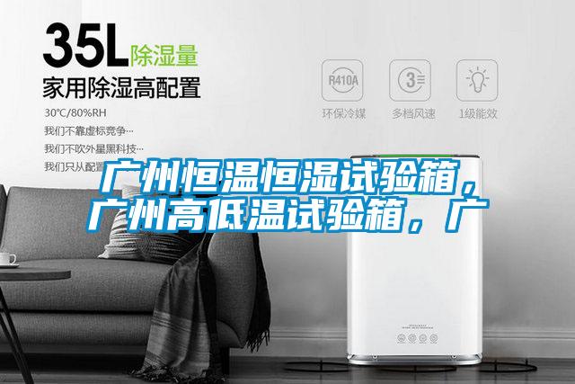 廣州恒溫恒濕試驗箱，廣州高低溫試驗箱，廣