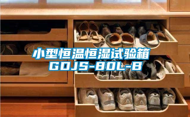小型恒溫恒濕試驗箱 GDJS-80L-B