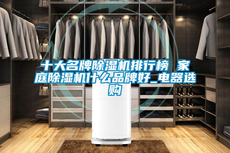 十大名牌除濕機排行榜 家庭除濕機什么品牌好_電器選購