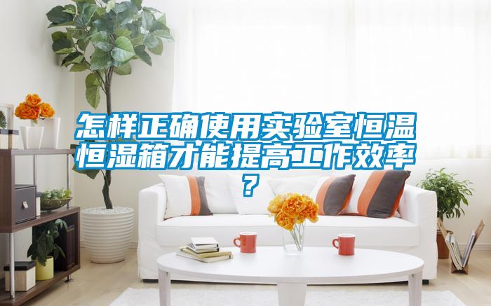 怎樣正確使用實驗室恒溫恒濕箱才能提高工作效率?
